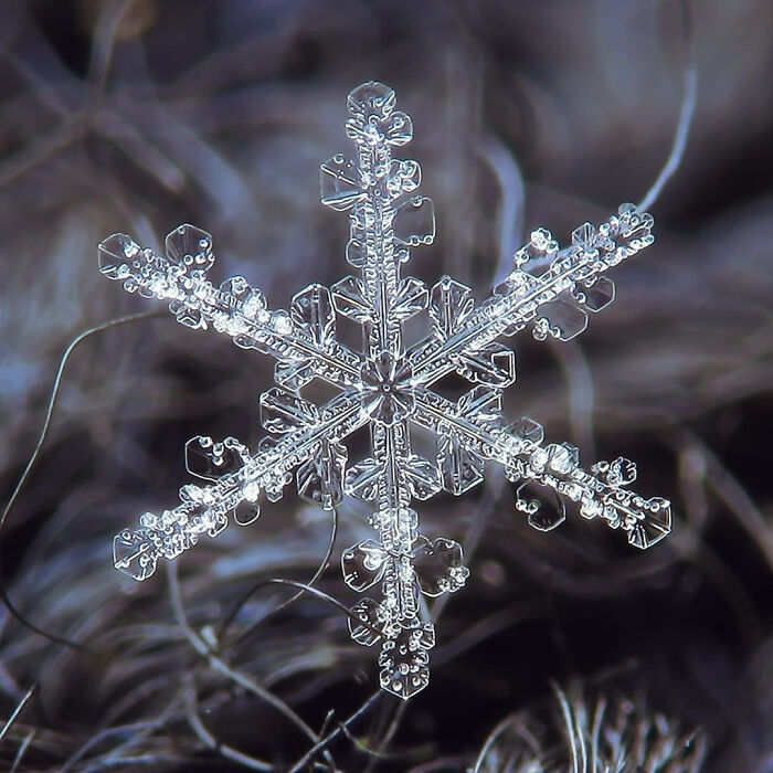 Close-up of a detailed snowflake crystal showcasing incredible weather patterns and the planet’s powerful natural forces.