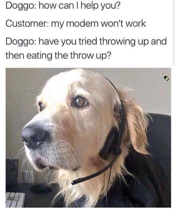 Golden retriever wearing a headset with a funny tech support meme, capturing dog owners relatable humor and adorable moments.