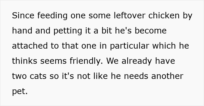 Text describing a man insisting on installing a cat flap while his wife suspects it’s for his pet fox attachment.