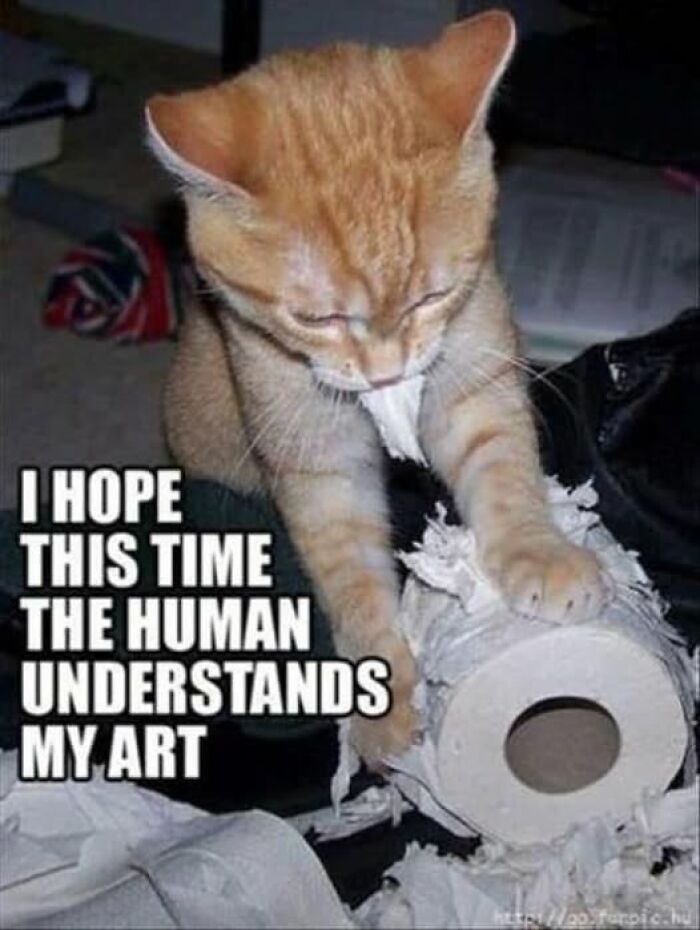 Orange cat shredding toilet paper roll with text expressing hope human understands its art, cat meme therapy concept.