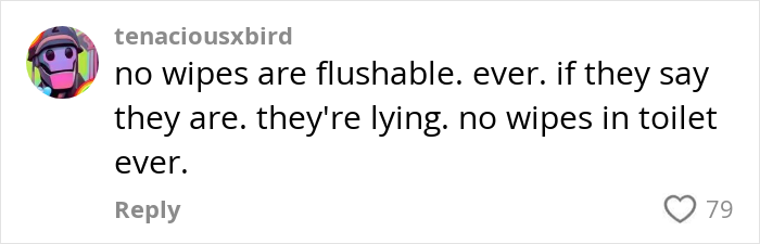 Comment stating no wipes are flushable, emphasizing toilet paper danger in public bathrooms after viral video warning. Comment stating no wipes are flushable, emphasizing toilet paper danger in public bathrooms after viral video warning.