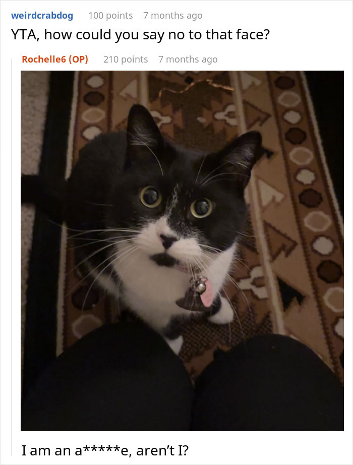 Black and white cat looking up with hopeful eyes as woman wonders if she’s the jerk for not sharing her chicken sandwich.