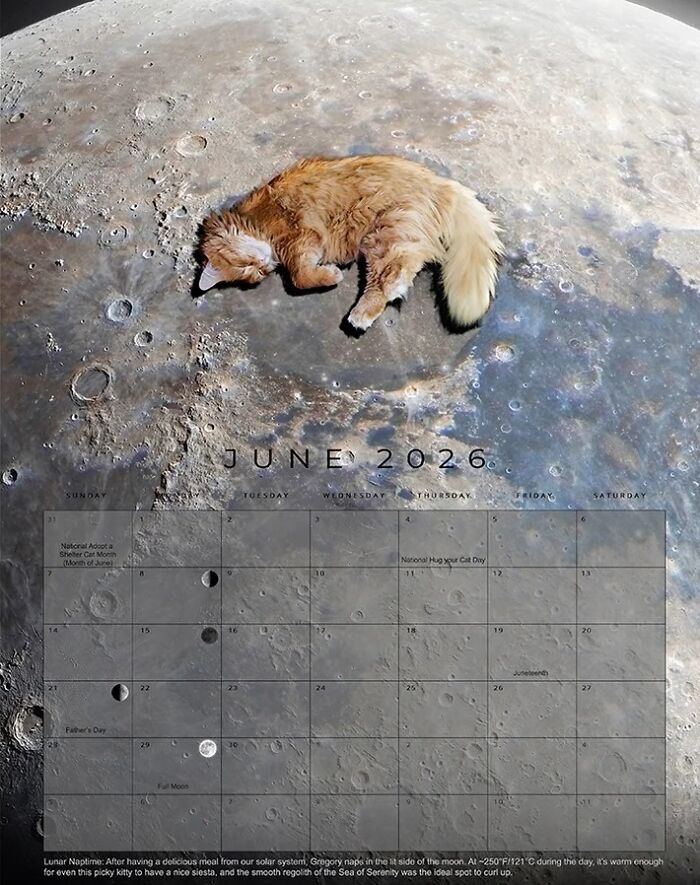 Rescue cat sleeping on the moon surface in the 2026 feline space calendar by astrophotographer.