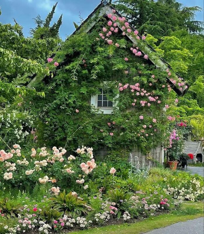 Charming dream cottage covered with climbing roses and surrounded by a lush, colorful garden in a peaceful setting.