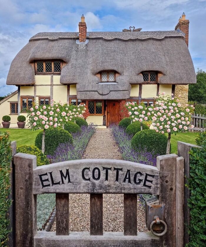 Thatched dream cottage with charming gardens featuring blooming roses and neatly trimmed shrubs along a gravel path.