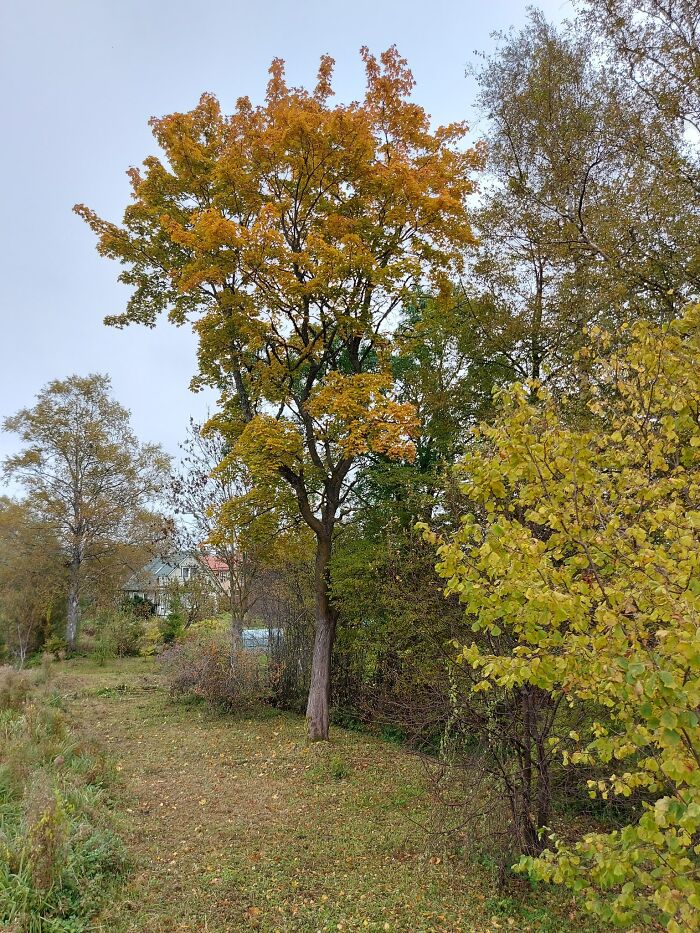 Autumn In Estonia, Nõo