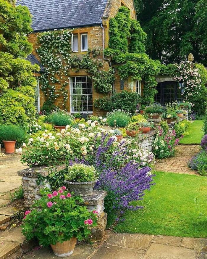 Stone dream cottage with lush gardens full of colorful flowers and greenery on a sunny day.