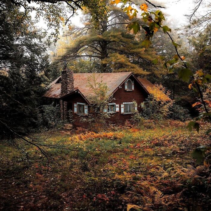Cozy dream cottage surrounded by autumn gardens and dense forest, evoking serene countryside living and nature escape.