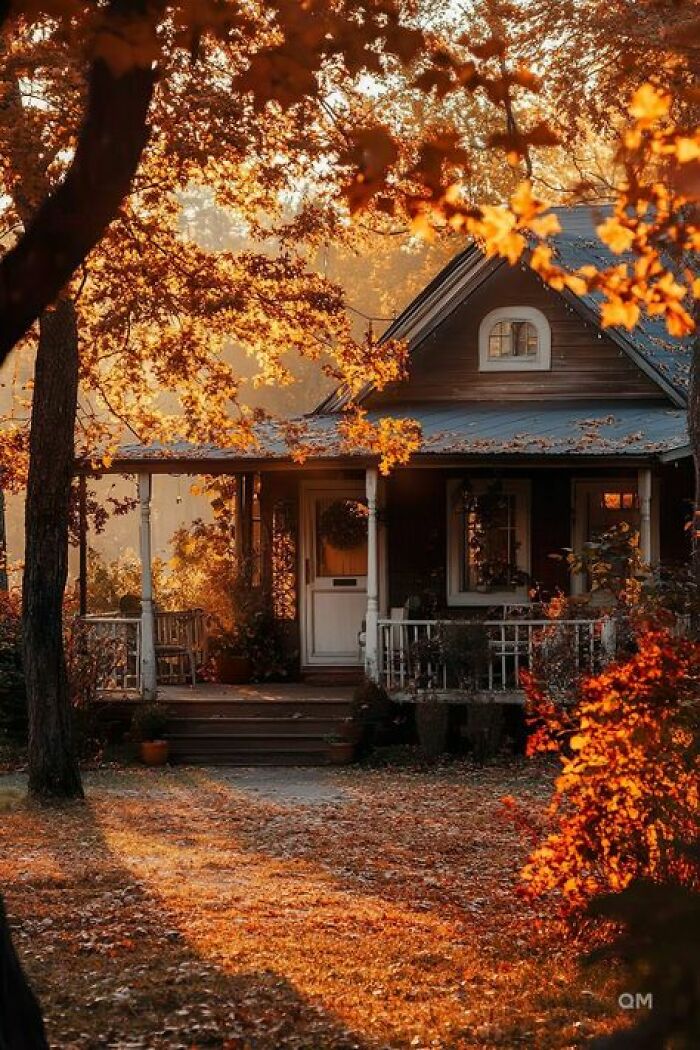 Cozy dream cottage surrounded by autumn trees and a charming garden bathed in warm golden sunlight.
