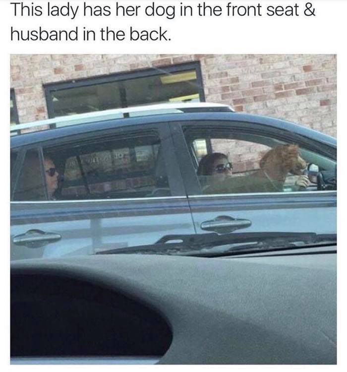 Woman with dog in front seat driving car, man sitting in back, funny and relatable dog owner meme.