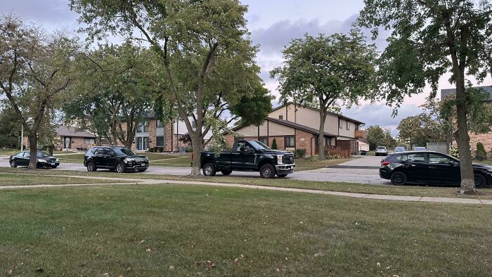 Suburban street with parked cars and trees, illustrating people apparently allergic to acting like sensible adults.