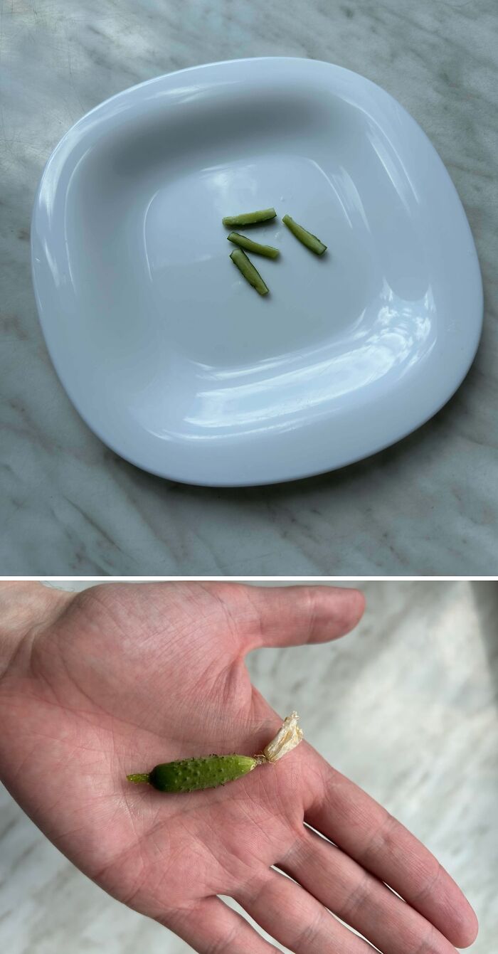 Tiny cucumber resembling a tomato for ants held in hand and small cucumber pieces on white plate on marble surface