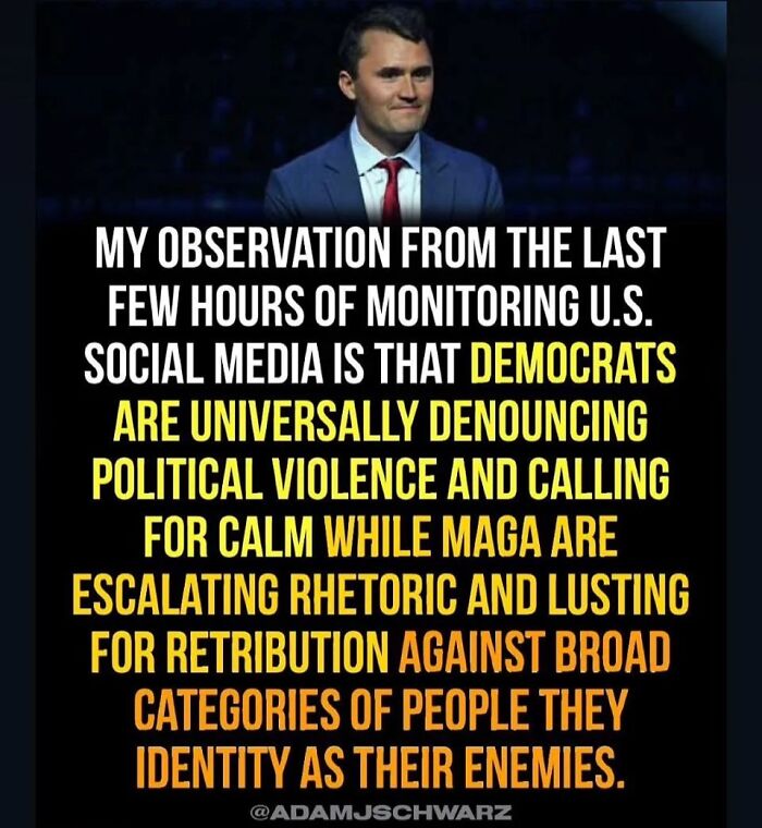 Man in suit with text about political violence and rhetoric contrasting Democrats and MAGA in chaotic good context.