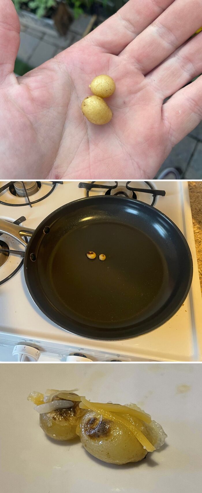 Tiny potatoes held in hand, cooked in a pan, and served with melted cheese, showcasing nature's joke on gardeners.