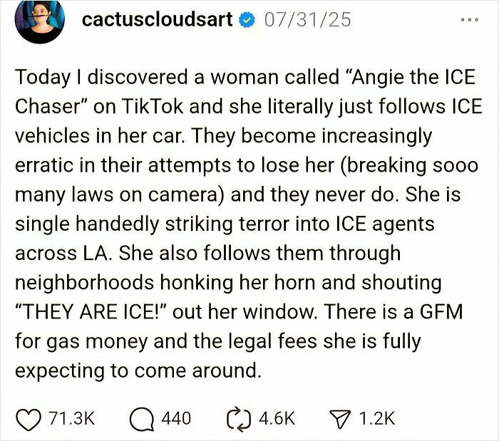 Screenshot of a social media post describing a chaotic good person confronting ICE vehicles with bold actions in LA neighborhoods.