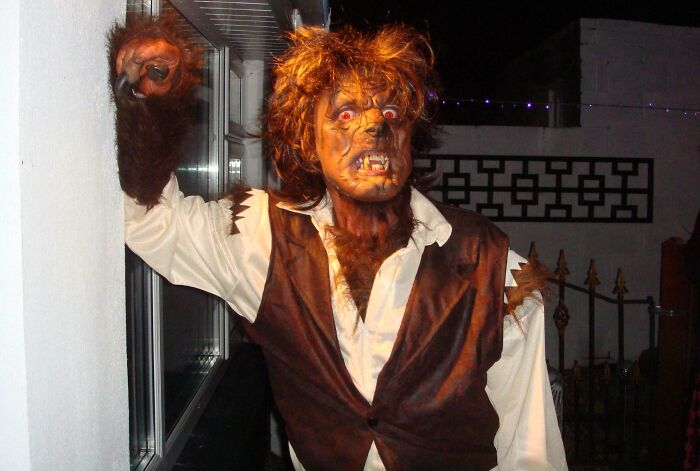 Person dressed in a detailed werewolf Halloween costume, one of the genius Halloween costumes that stood out at the party