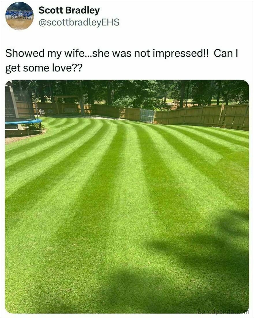 Perfectly mowed backyard lawn with striped pattern, illustrating a classic dad hobby from memes and jokes about dads.