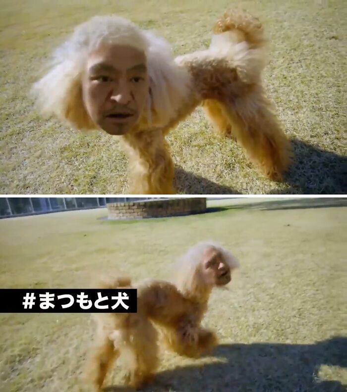 Dog with a realistic human face walking on grass in a creepy commercial that might give nightmares.