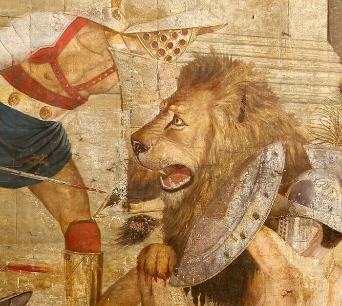 Gladiator in a helmet confronting a lion in a dangerous and unsafe historical sport arena scene.