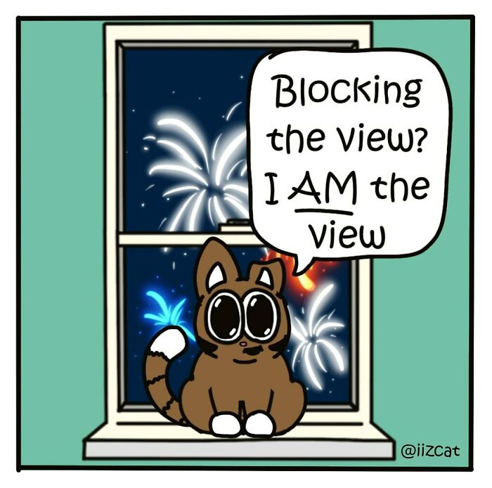 ‘I Iz Cat’: How A Rescue Cat Inspires Hilarious And Heartwarming Comics About Everyday Life