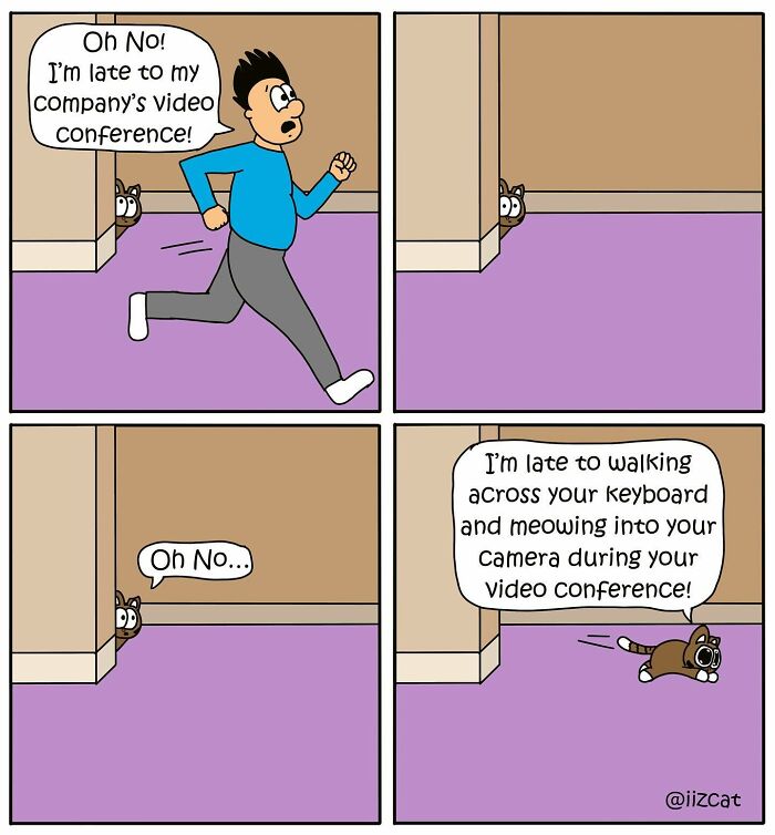 ‘I Iz Cat’: How A Rescue Cat Inspires Hilarious And Heartwarming Comics About Everyday Life