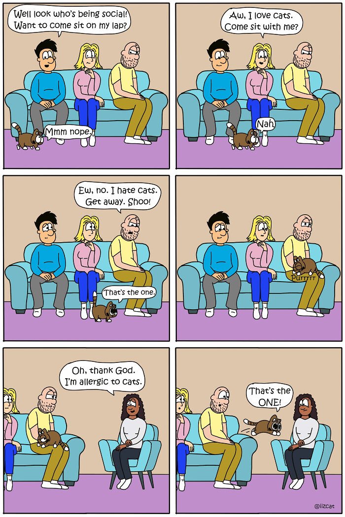 ‘I Iz Cat’: How A Rescue Cat Inspires Hilarious And Heartwarming Comics About Everyday Life