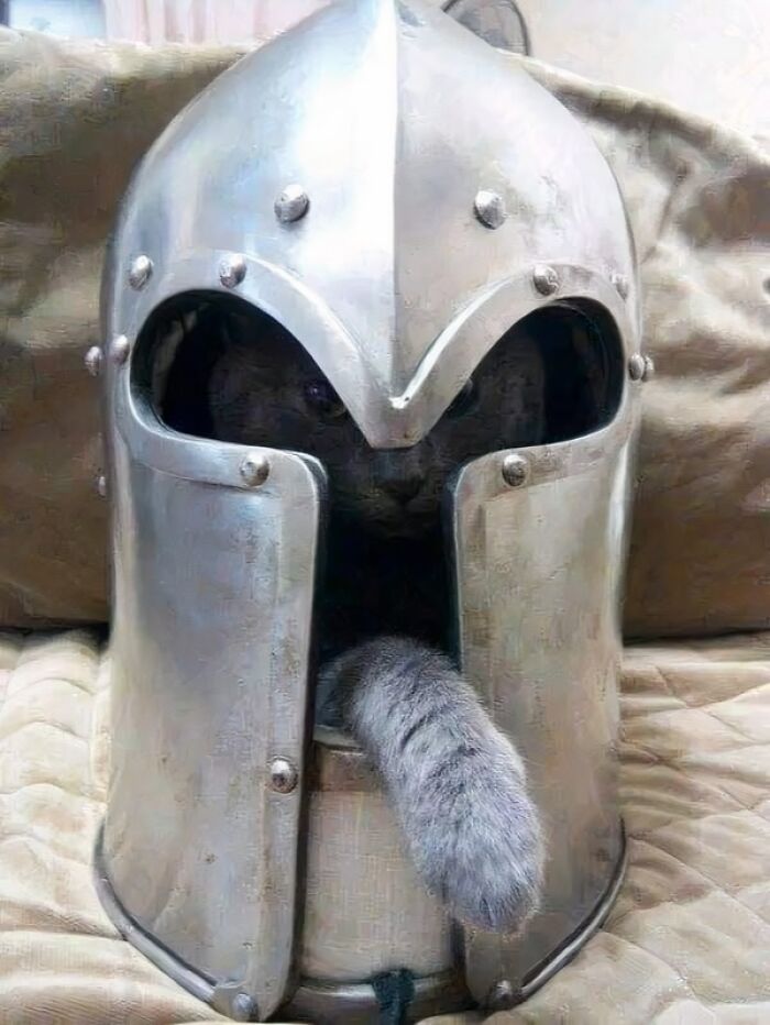 Cat peeking out from inside a medieval-style helmet, creating a humorous and out of context occult-themed scene.