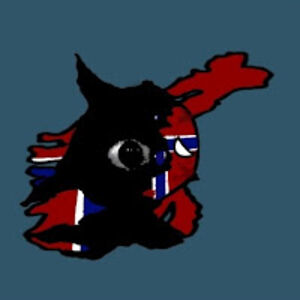 berkinsahinnordic_infection avatar