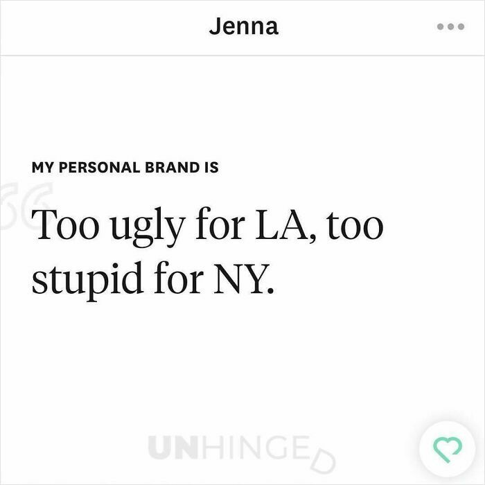 Dating app profile humor stating personal brand as too ugly for LA and too stupid for NY, showcasing unhinged people.