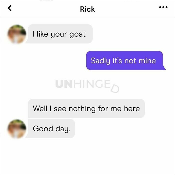 Text conversation on dating app where one person jokes about a goat and the other responds humorously showing unhinged dating app people.