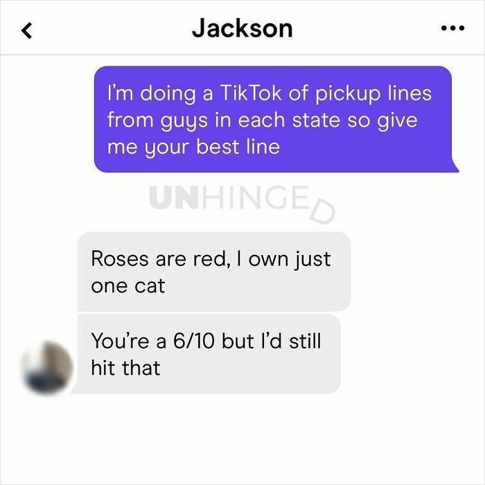 Screenshot of a dating app chat showing a pickup line and a humorous unhinged response from a guy.
