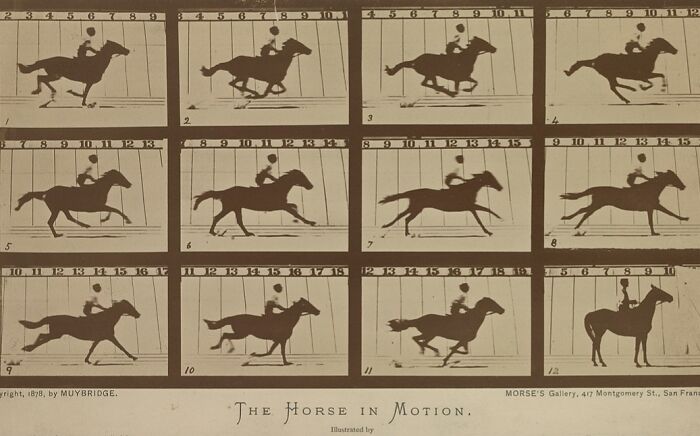 Sequential photos of a horse in motion captured using early photography techniques from the time when photography was new.