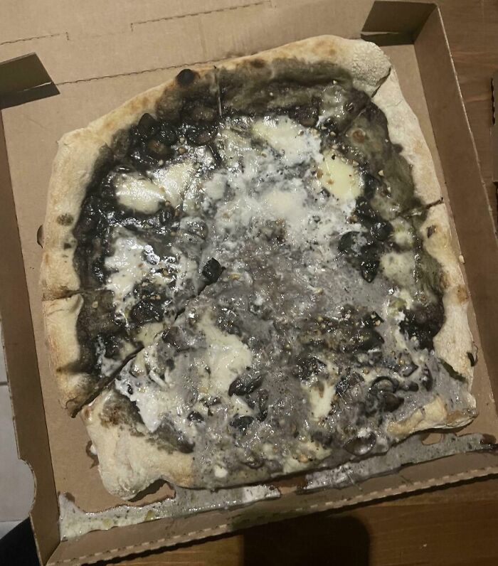 Burnt and moldy pizza with melted cheese in a cardboard box, representing cursed and disgusting pictures of food.