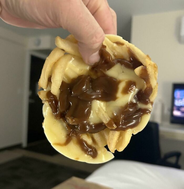 Hand holding a round serving of fries covered in melted cheese and brown gravy, a cursed and disgusting food picture.