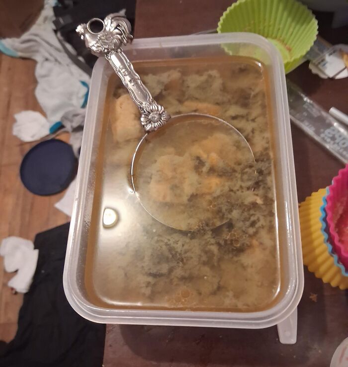 Moldy and spoiled food in a plastic container with discolored textures and a decorative metal spoon on top.