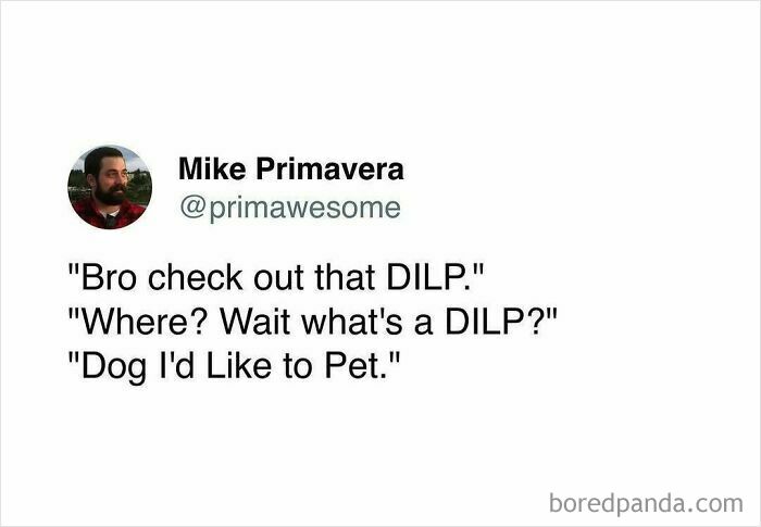 Tweet from Mike Primavera with a funny conversation featuring the term DILP, part of prime awesome tweets collection.