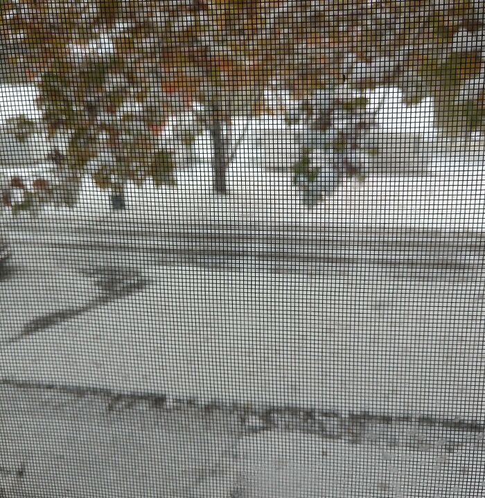 View through a window screen showing a snowy street and autumn leaves, illustrating Halloween fails with early winter weather.