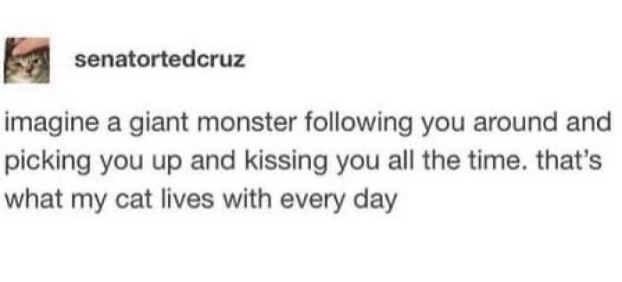 Cat meme text about a giant monster picking you up and kissing you, describing a cat's daily life experience.