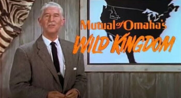 Older man in a suit standing next to a screen displaying Mutual of Omaha's Wild Kingdom, a nostalgic TV show.