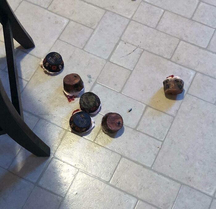 Chocolate Halloween cupcakes spilled and crushed on tiled floor showing one of the Halloween fails.