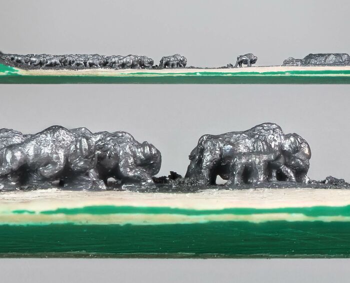 50 Tiny Bison, One Pencil: Here's My Most Ambitious Micro-Carving Yet