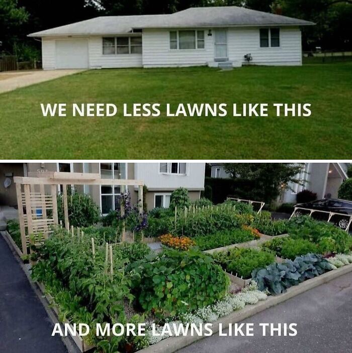 Top image shows a simple lawn in front of a house; bottom image shows a lush garden promoting simple living benefits.