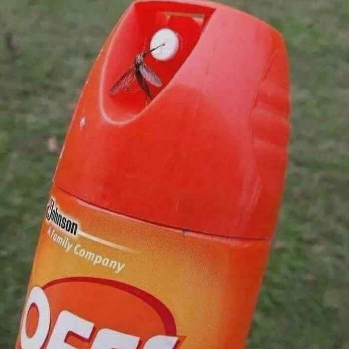 A mosquito perched on the spray nozzle of an insect repellent can, capturing a humorous moment that goes hard.