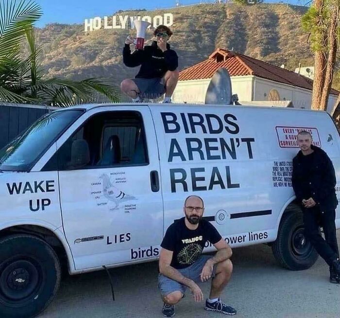 Three people posing with a van covered in humorous conspiracy text about birds under the Hollywood sign.