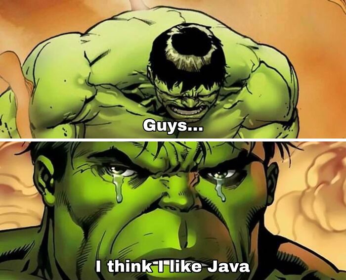 Hulk character showing emotion with meme text about programming and computer science humor.