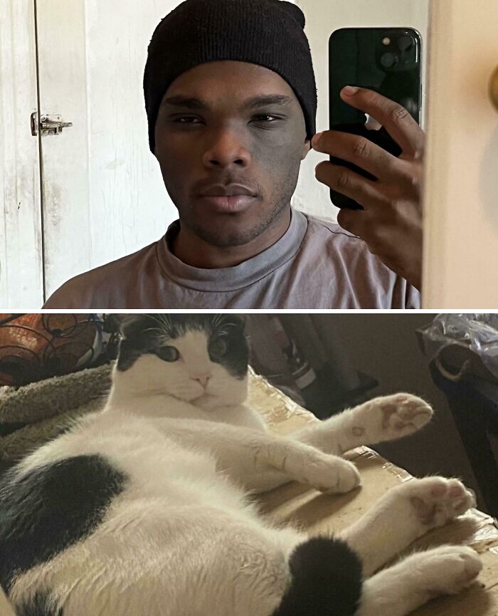 Man with half face painted to match a black and white cat lying down, showing moderately interesting visual similarity.