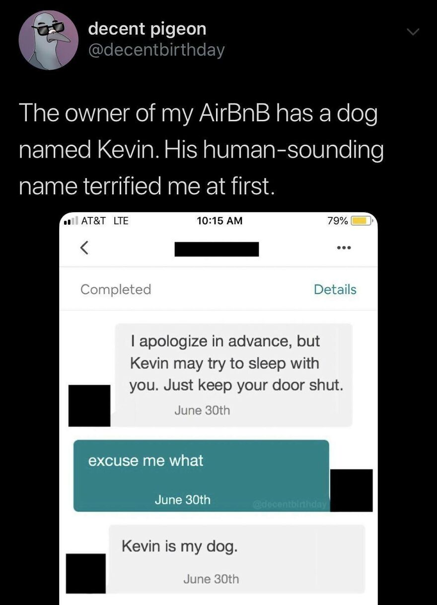 Screenshot of a humorous text exchange about a dog named Kevin, showcasing moments people knew exactly what they were doing.