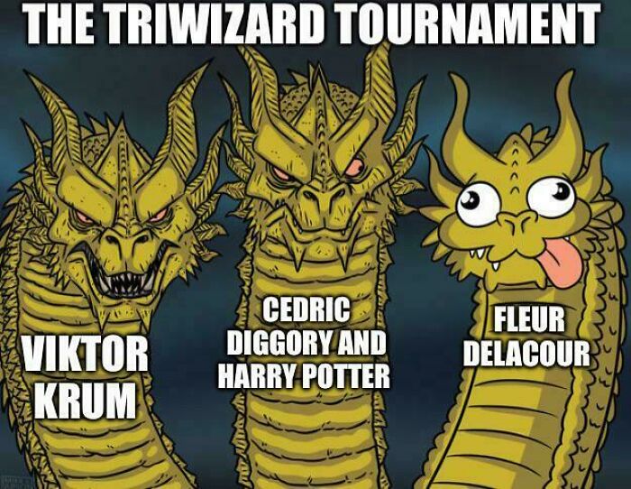 Three-headed dragon meme with heads labeled Viktor Krum, Cedric Diggory and Harry Potter, and Fleur Delacour, humorous Harry Potter memes.