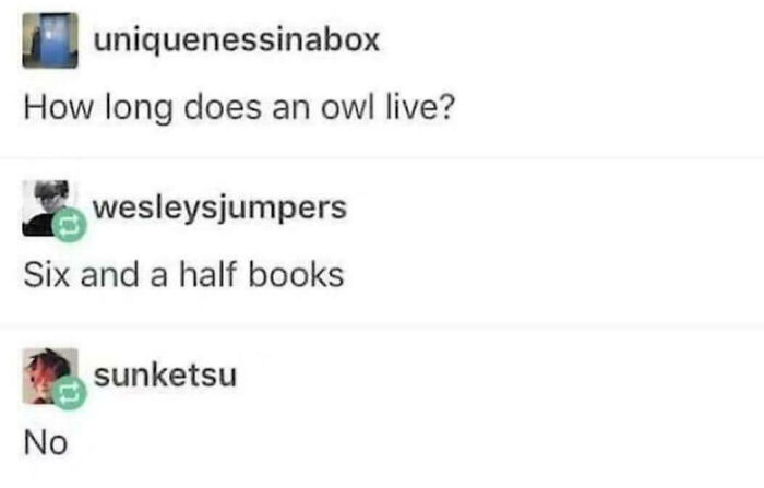 Humorous Harry Potter meme about owl lifespan shared in a casual online conversation, perfect for Gryffindor fans.