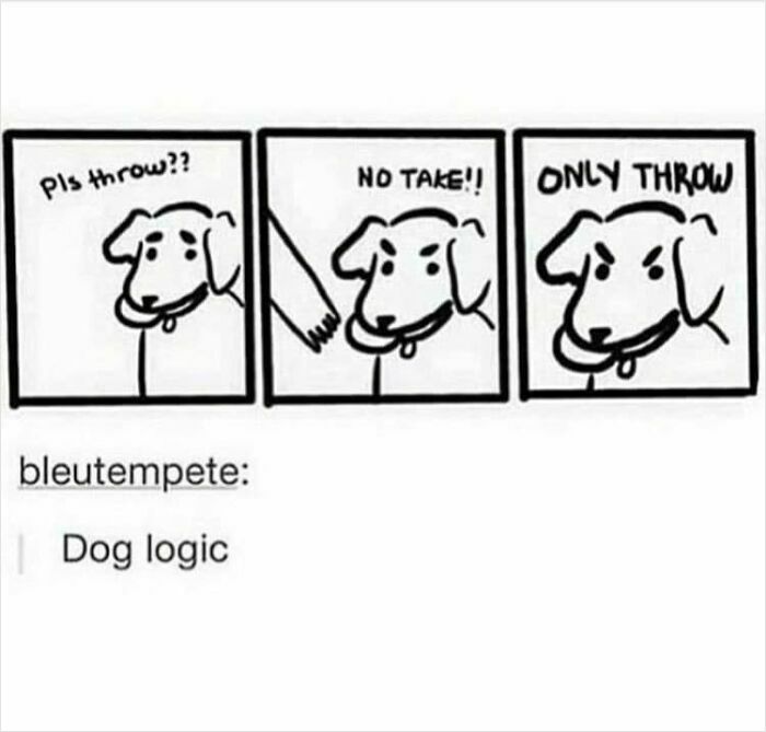Comic strip showing a dog humorously expressing playful frustration, a funny and relatable meme for dog owners.